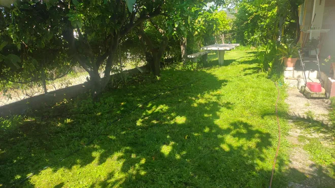 Imagen Patio